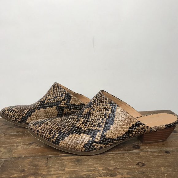 Coconuts by Matisse Snake Print ‘Lucky’ Mules - Picture 2 of 7